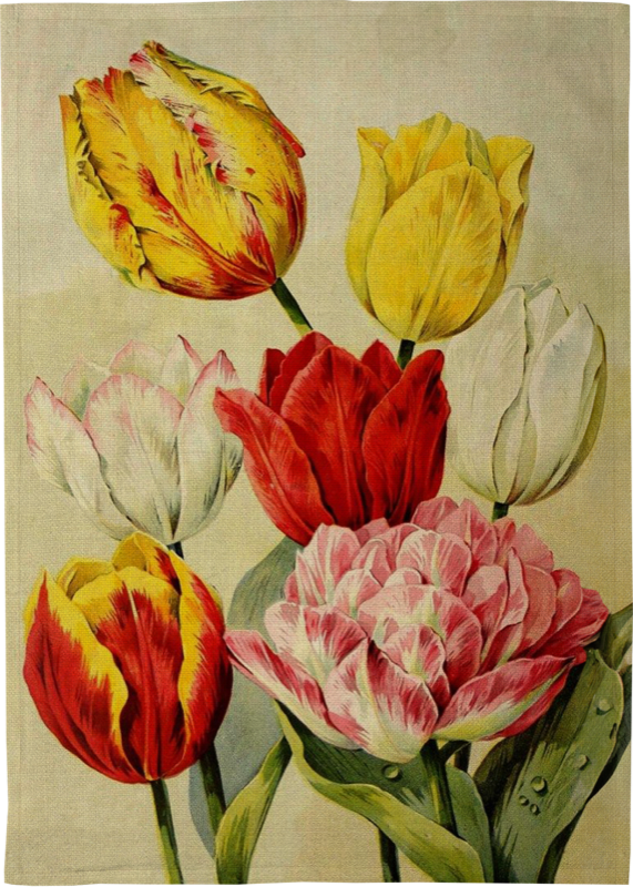 Kökshanddukar, 50x70 cm.